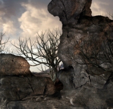 科幻世界畸形怪石死树图片