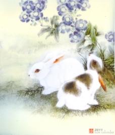 生肖兔国画27