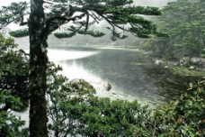 螺髻山仙草湖图片