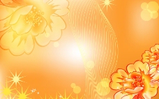 牡丹花背景图片