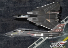 F 14战斗机图片