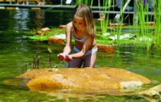 在池塘里捉小鱼的小女孩图片