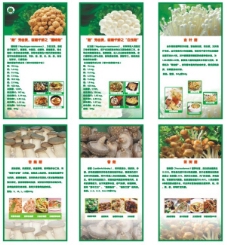 香菇、真菌类食品广告
