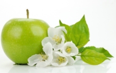 苹果 绿叶 白色花朵图片