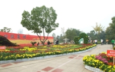 湖南娄星广场绿色景点图片