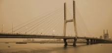 八一大桥图片