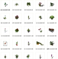 草图大师模型草图大师植物组合图片