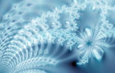 冬季雪花花纹背景图片