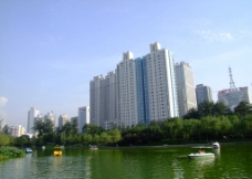 丰庆公园图片