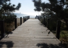海边木桥图片