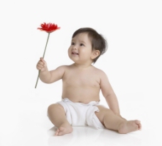 可爱的宝宝拿着一朵花的可爱宝宝婴儿图片