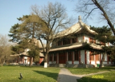 树木北京大学古建筑图片
