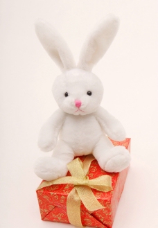 节日礼物毛绒玩具兔子礼物盒节日图片