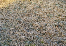 落霜的地面图片